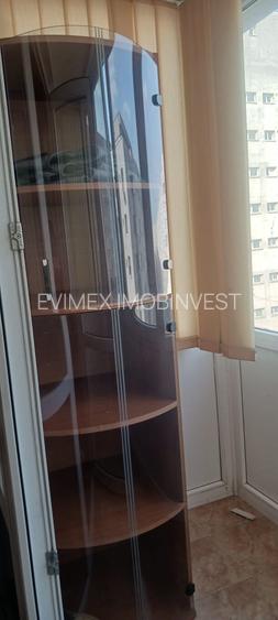 Salajan  - Statuie inchiriere ap. 2 camere - 12