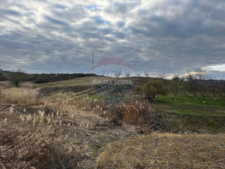 Teren cu panorama superba în Berchezoaia + bonus rulota - 4