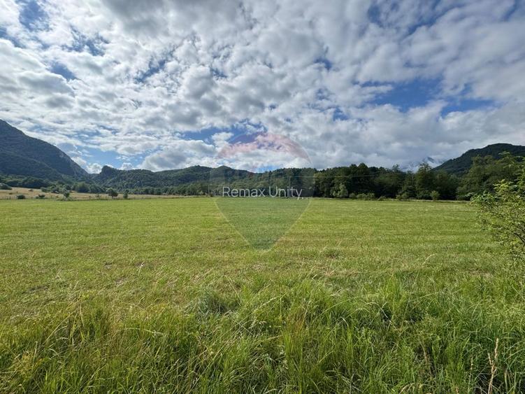 Teren de vanzare  Intravilan 19.341 mp – Cheile Râșnoavei, Parcelabil - 6