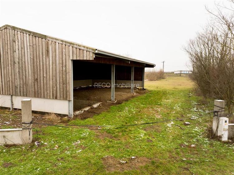 RECO . Teren intravilan cu hala metalica in Roit . - 5