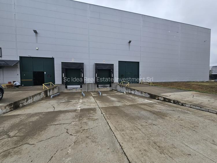 Hala industriala depozitare productie Giarmata - 1850 mp !! - 4
