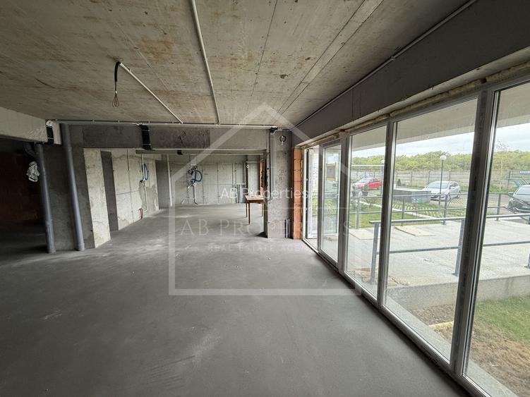 Spatiu Comecial 155 MP UTILI - 9