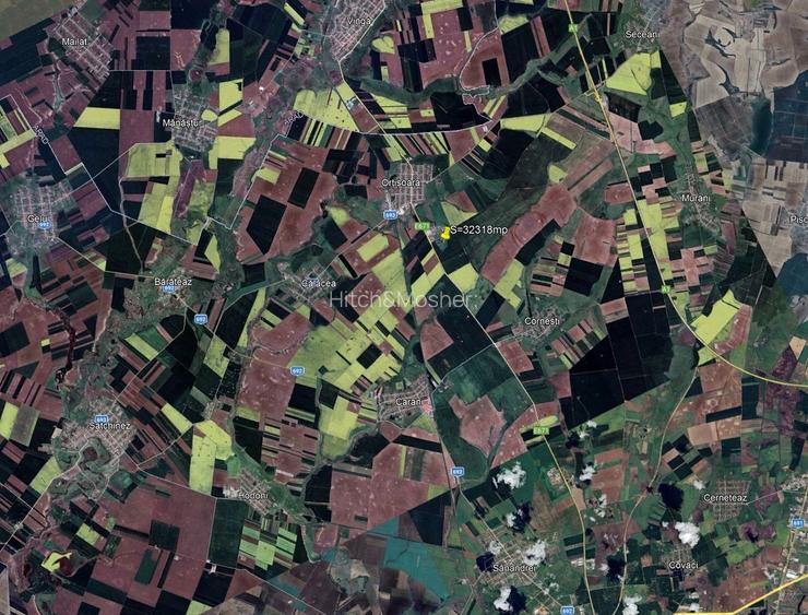 3 ha de teren intravilan Ortisoara - 3