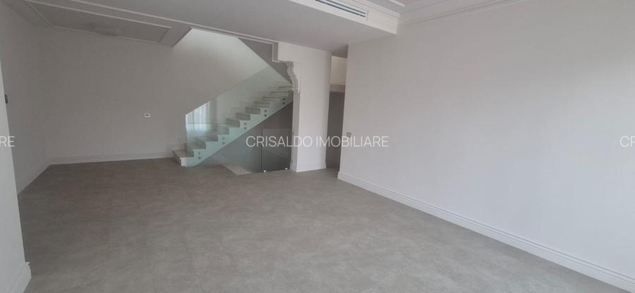 Proprietate deosebita Iancu Nicolae - 11