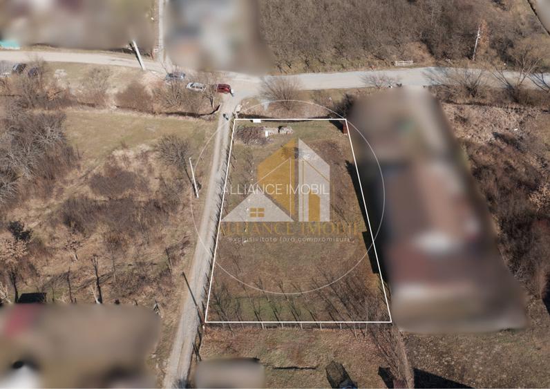 Teren intarvilan de vanzare - Valea Rusului. - 5