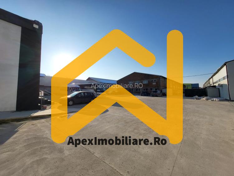 Hala Industriala Xenia – 1800 mp, Acces TIR, Parcare 50 Auto - 10