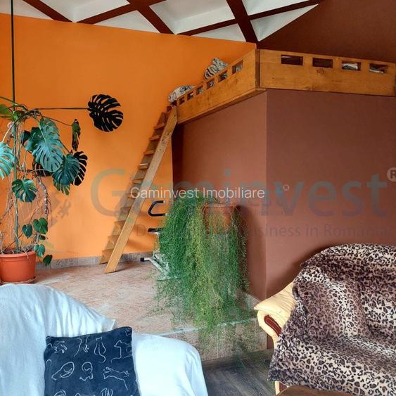 Vila si fosta ferma 8300 mp in Valea lui Mihai, Bihor - 7