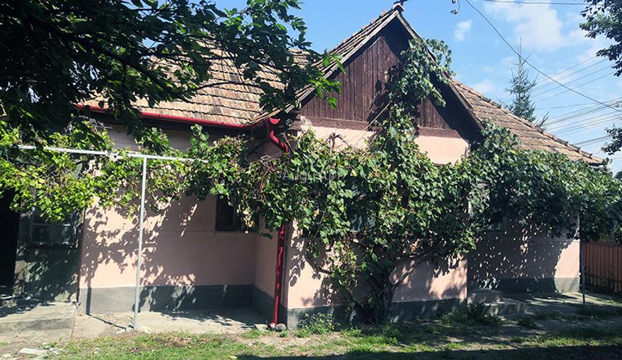 Potențial imobiliar! casa curte, front 15 m, teren 11000 mp - 9