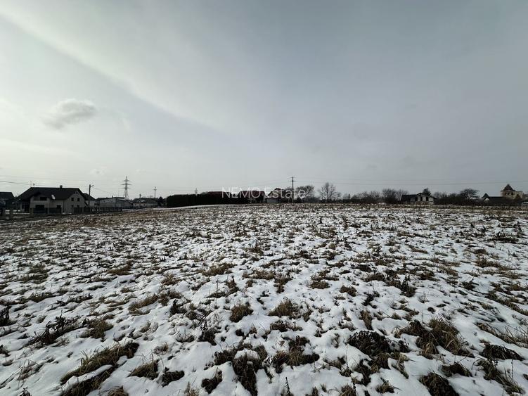 Teren intravilan | 61 ari | Parcelabil | Radauti - 4