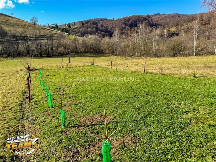 FILM! Teren extravilan 682 mp + rulota, Floroaia, Intorsura Buzaului - 17