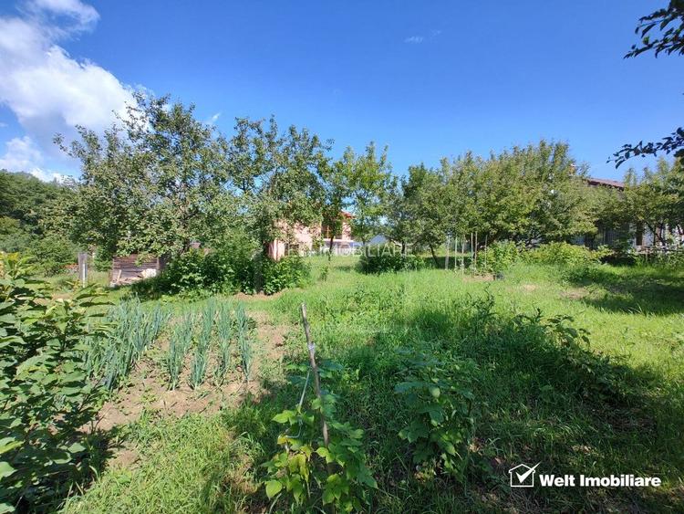 Oaza ta de liniste si verdeata, teren Faget cu parau in curte - 5