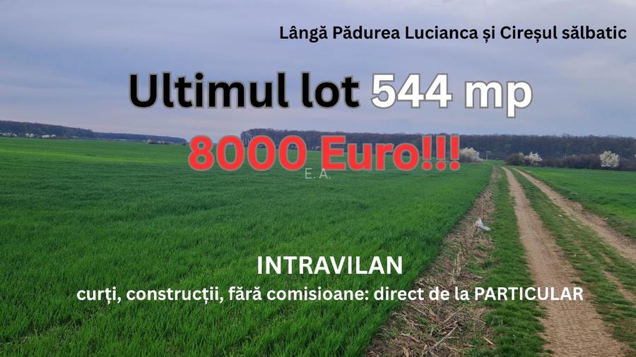 Academia  Titi Aur, 544 mp., PARTICULAR, intravilan construibil, 5.500E/lot - 2