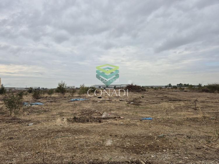 Oportunitate - Teren Chitila - 8.700 mp - pretabil pentru hale - 4