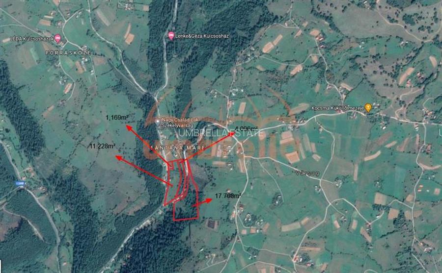 TEREN DE VANZARE 34.201m²/20€ m² IN VARSAG HARGHITA - 19