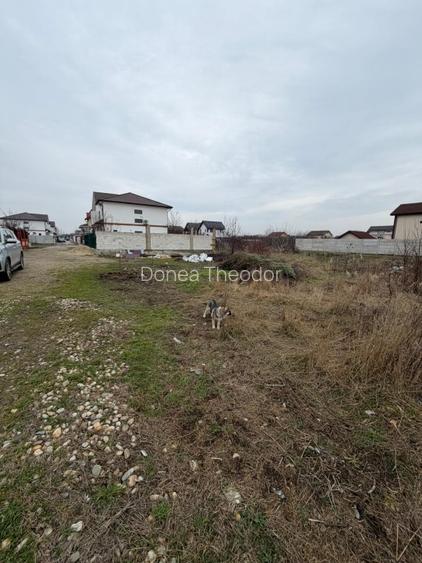 Teren Intravilan de Vanzare Aeroportului Cornetu  - 3