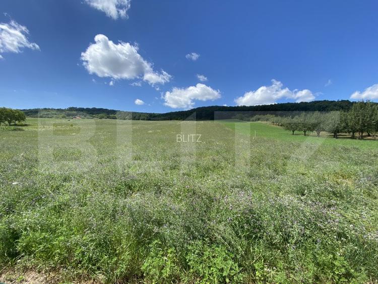 Teren intravilan in suparafat de 19213 mp, zona Valea Mitii - 3