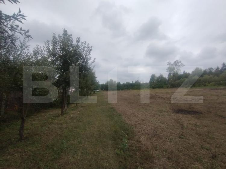 Teren 50 Ari cu Cabană, Utilități și Livadă – Oază de liniște! Beclean
