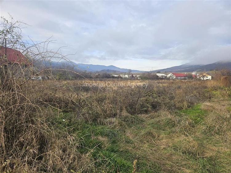 TEREN INTRAVILAN 10.700 mp  DE VANZARE  IN TG.OCNA - 3