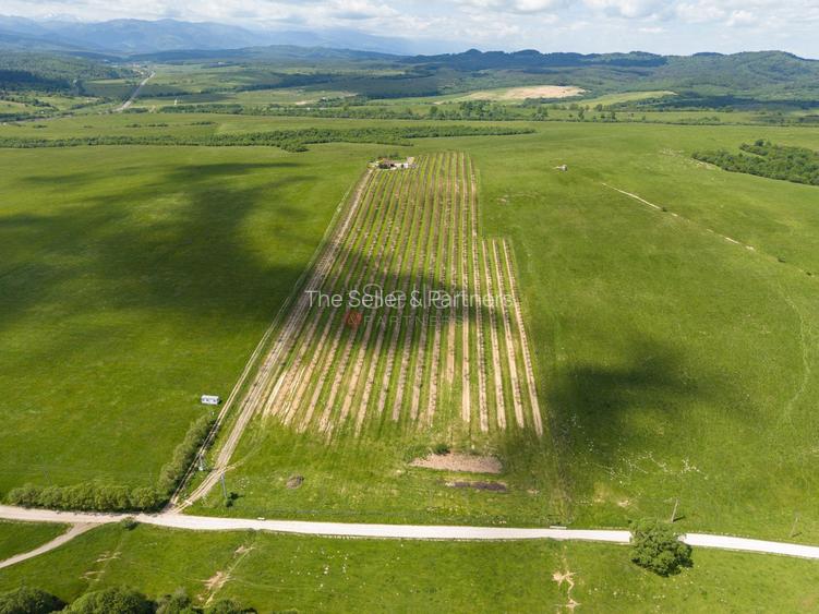PROPRIETATE CU LIVADA MATURA DE NUCI SI POTENTIAL INVESTITIONAL - 111