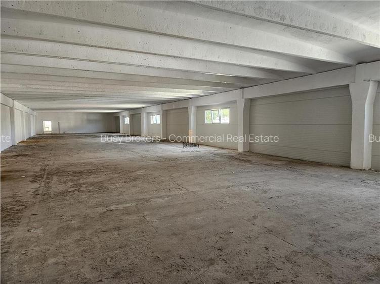 Spatiu Industrial -  6500 mp - Productie - Depozitare - 8