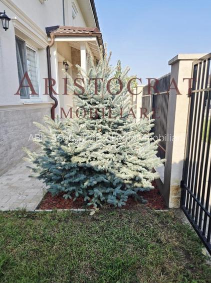 Vila 4 camere Tamasi - 23