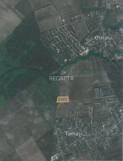 Teren Ostratu-Tamasi // OPORTUNITATE INVESTITII - 6