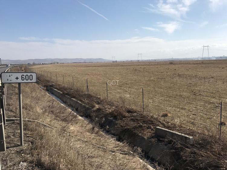 Teren de vanzare 20.000 mp pretabil benzinarie centura, direct de la proprietar! - 3