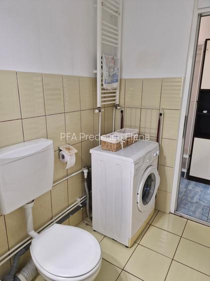 Dambovița-lângă Piața Flavia - 19
