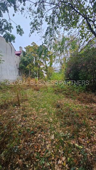 TEREN DE VÂNZARE – DOROBANȚI --- STRADA CARAGEA VODA. - 7