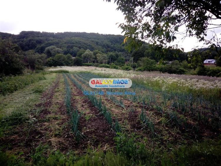 Teren intravilan comuna Bogati sat Birloi Jud. Arges - 9