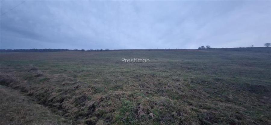 De vanzare teren 1,2 Ha in Laureni - 2