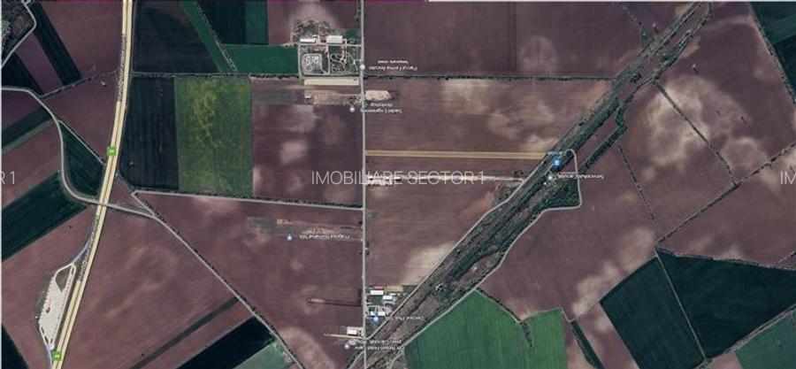 Teren de vanzare  - Caciulati - Ilfov - 6
