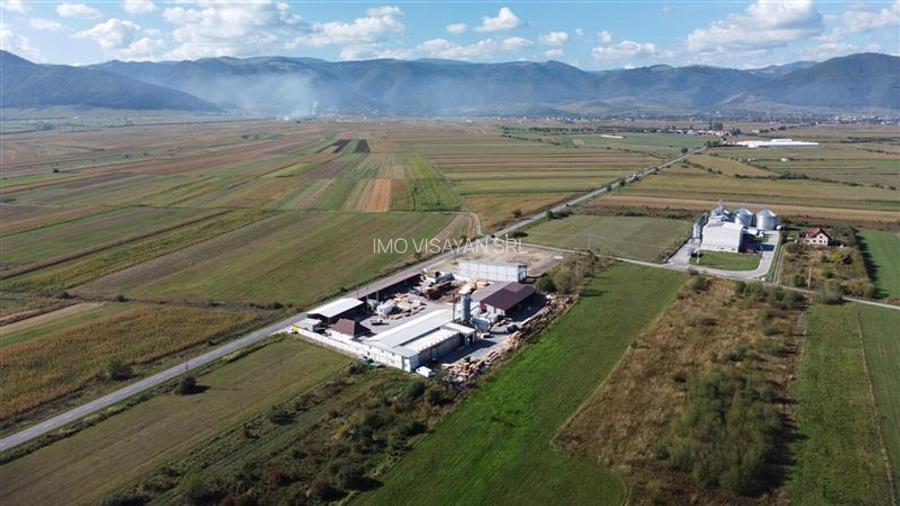 Oportunitate investiție prelucrare lemn, Cristian,jud.Sibiu - 5