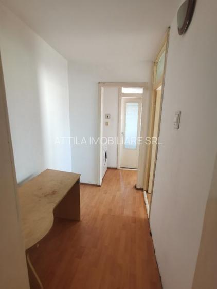 Lipovei- Ion Ionescu de la Brad 3 camere 350 euro - 14