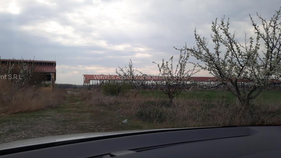 de vanzare Ferma Vaci - 3