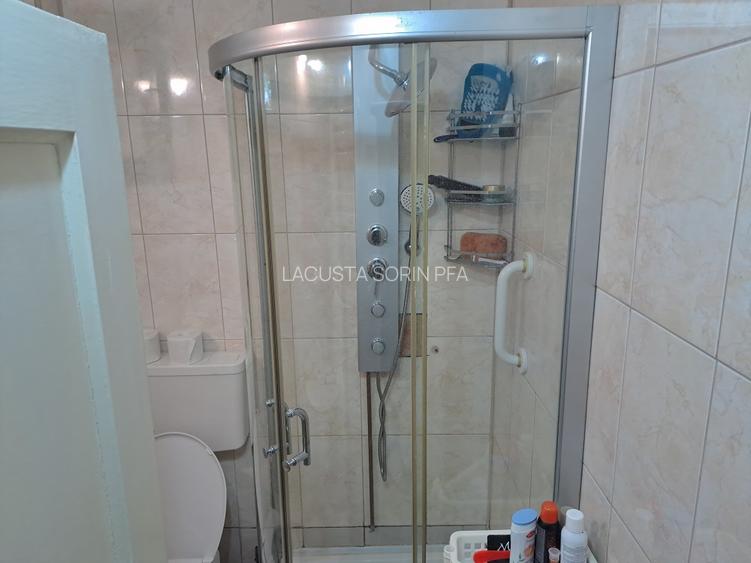 Industriilor Hala Laminor, singur curte, libera - 9