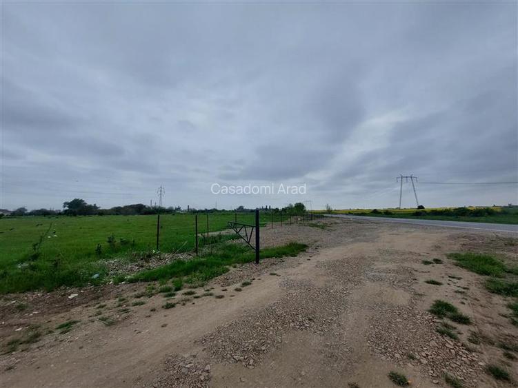 Teren intravilan cu potential multiplu! - 7