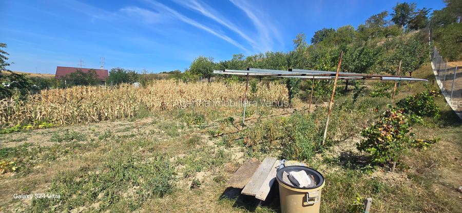 Teren intravilan in Manolesti Deal - 3