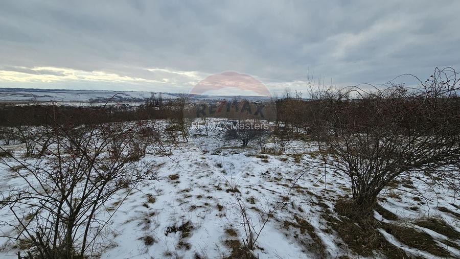 Teren 10,000mp Radaseni / Soseaua DN2-E85, judetul Suceava - 4