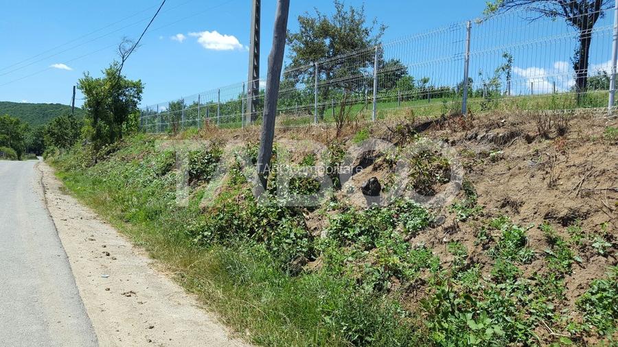 Teren 1974 mp intravilan de vanzare in Loman judetul Alba - 2