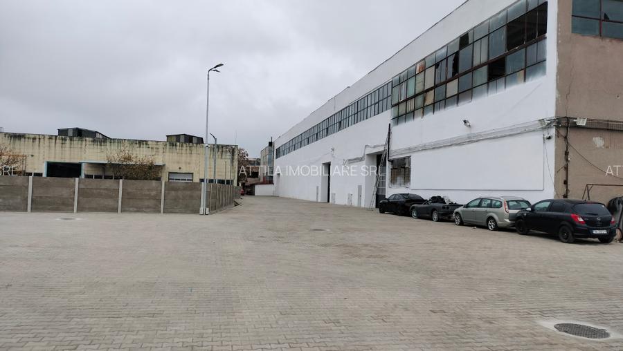Inchiriez hala 488 mo zona Sagului - 2