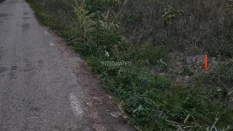 Teren intravilan 2000 mp,  Silistea Snagovului - Front PADURE( 38 ml Front  - 6