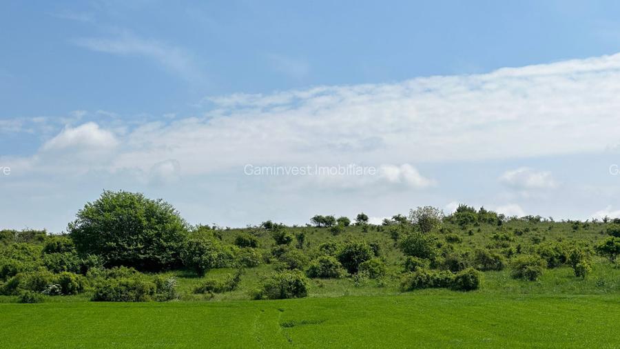 Teren Extravilan de Vanzare, zona Episcopia, Oradea, judetul Bihor - 4