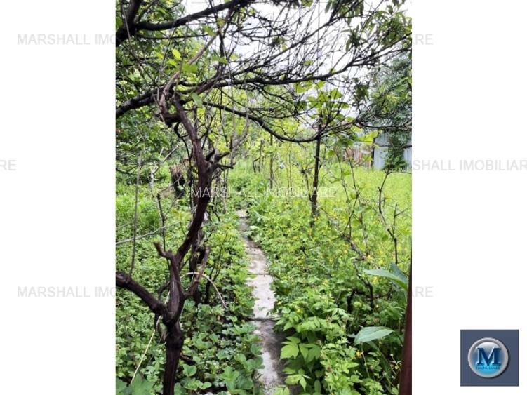 Casa cu 3 camere de vanzare, zona Cantacuzino, 70 mp #16517 - 10