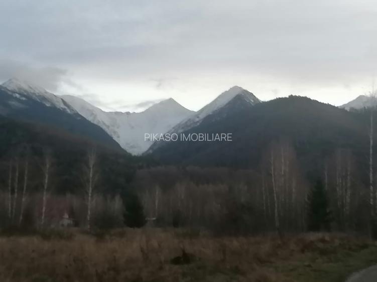 Vanzare casa individuala  plus teren 800 mp Vistisoara - 3