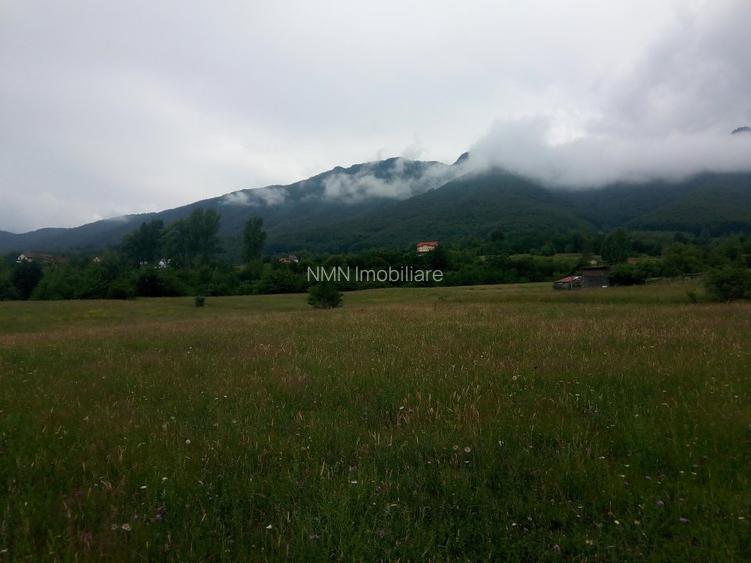 Teren parcelat in suprafata de 1100 mp, in Tohanita acces din soseaua Branului - 6