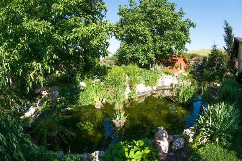 Tur LIVE! O emblema a turismului in Sanpetru - 38