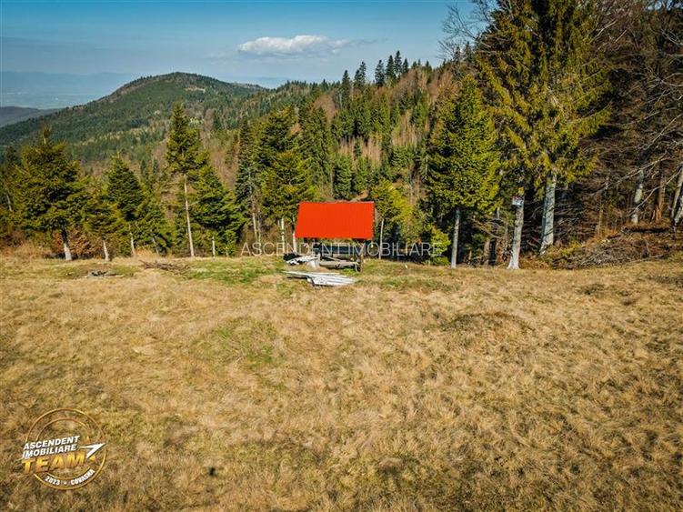 In notabil areal, teren extravilan pe 5.800 mp, Ojdula, Covasna - 30