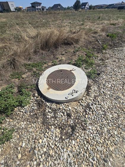 Gulia, Tartasesti, Eden Forest Residence,Samurcasi - 7