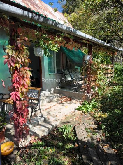 Teren cu cabana de vanzare - 16